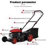 Lawn Mower Gas Powered, 20-Inch 161CC Self Propelled Lawn Mower, 2-in-1 Gas Mower, 6 Adjustable Heights