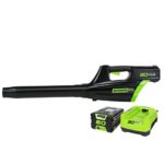 Greenworks GBL80300 2400102 Cordless Blower, (1) 2Ah Battery & Charger