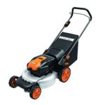 WORX WG770 36V 2-in-1 Cordless Mower with Single Lever Depth Setting, 19-Inch, Battery and Charger Included