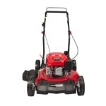 PowerSmart Push Lawn Mower Gas, 21 in. 144cc 2-in-1 Walk-Behind Lawn Mowers