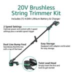 Amazon Brand – Denali by SKIL 20V Brushless 13-Inch String Trimmer Kit, Includes 4.0Ah Battery & Charger, Blue