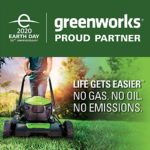 Greenworks 14-Inch 10 Amp Corded Dethatcher 27022