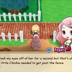 Story of Seasons: Friends of Mineral Town – Nintendo Switch