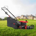 21 Inch Self-Propelled Lawn Mower Gas Powered 5 Adjustable Heights with Bag, 209cc 4-Stroke Engine, Oil Included