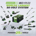 Greenworks PRO 80V Cordless Brushless String Trimmer + Leaf Blower Combo, 2Ah Battery and Charger Included STBA80L210