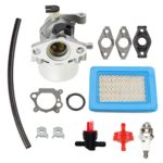 ANTO 799866 Carburetor for Briggs Stratton 794304 796707 790845 799871 Toro Craftsman Carburetor Motor Lawn Mower Part with Gaskets Spark Plug Air Filter Fuel Filter